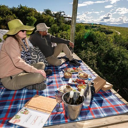 Garden Route Game Lodge Albertinia Exteriör bild