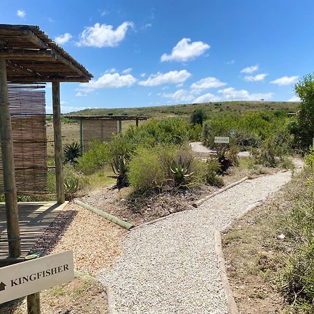 Garden Route Game Lodge Albertinia Exteriör bild
