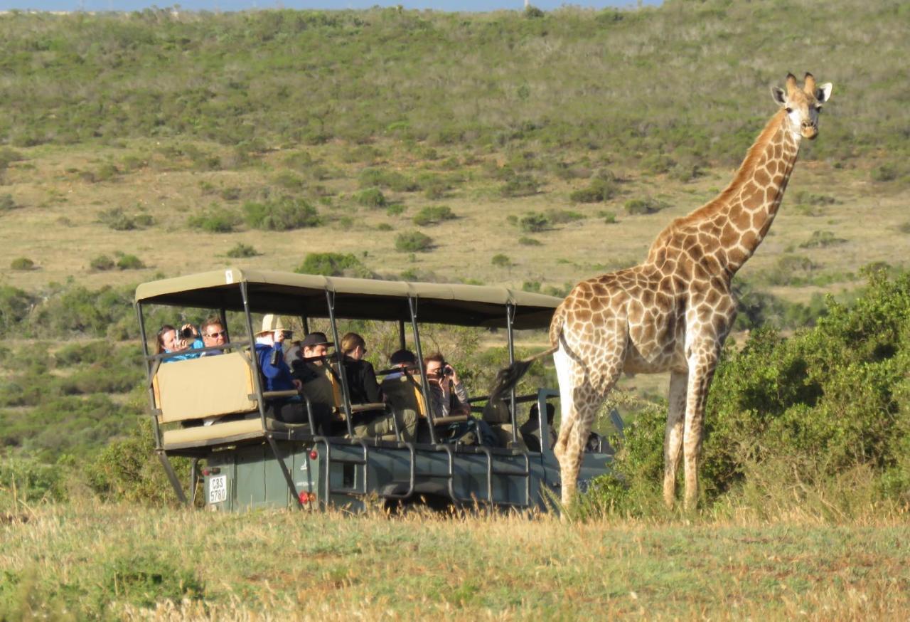 Garden Route Game Lodge Albertinia Exteriör bild