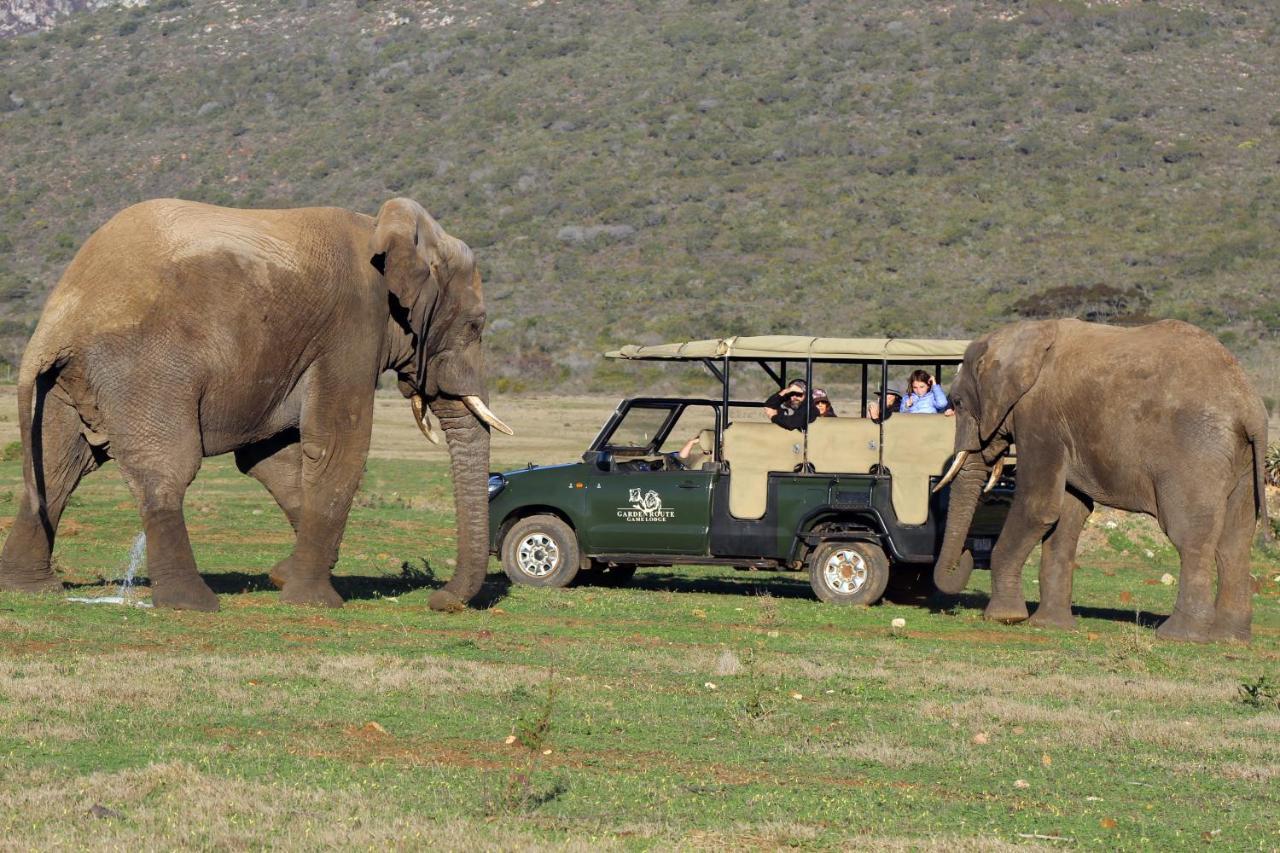 Garden Route Game Lodge Albertinia Exteriör bild