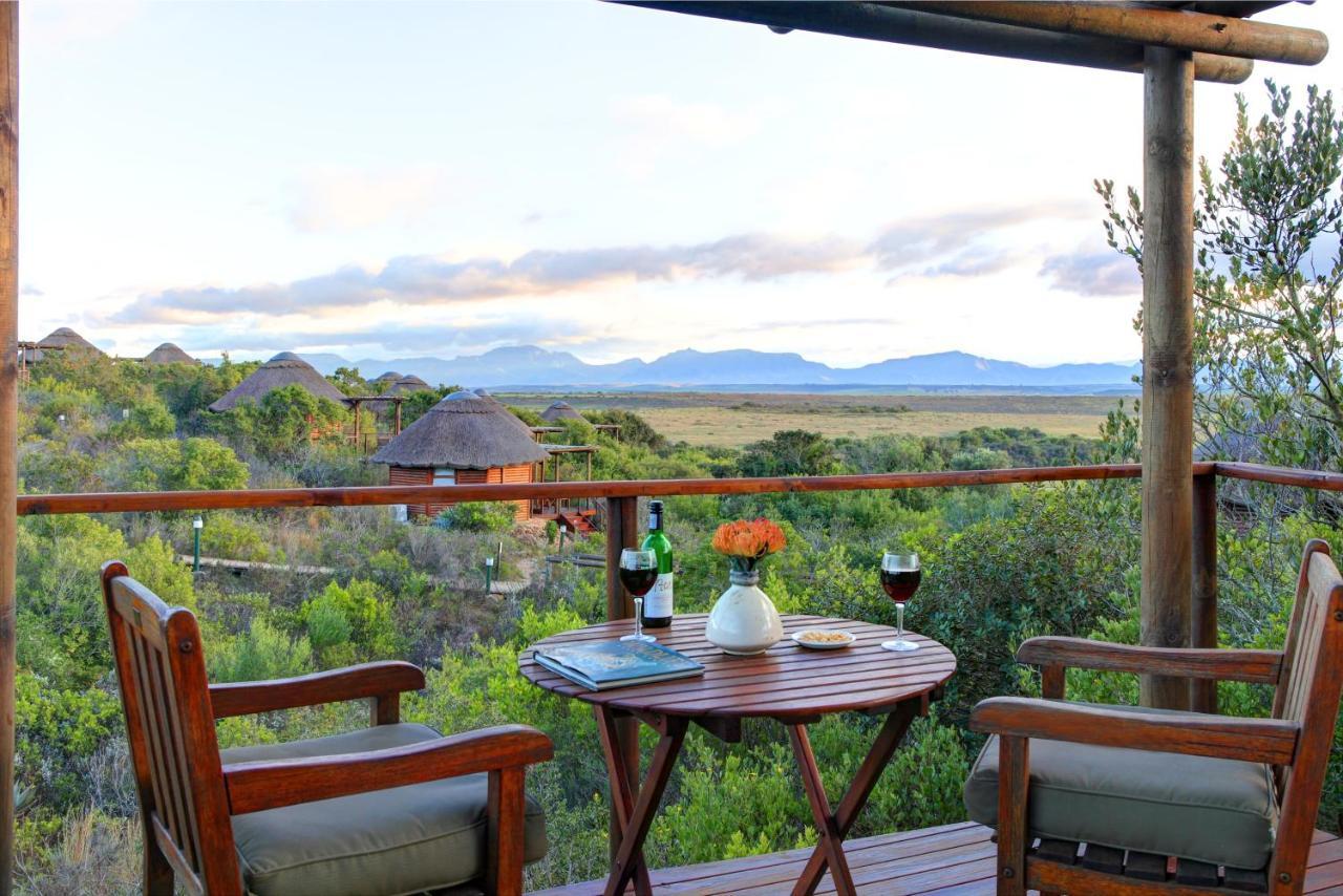 Garden Route Game Lodge Albertinia Exteriör bild