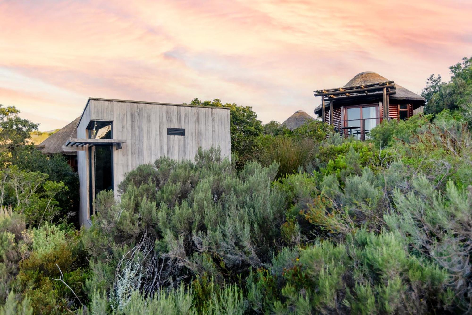 Garden Route Game Lodge Albertinia Exteriör bild