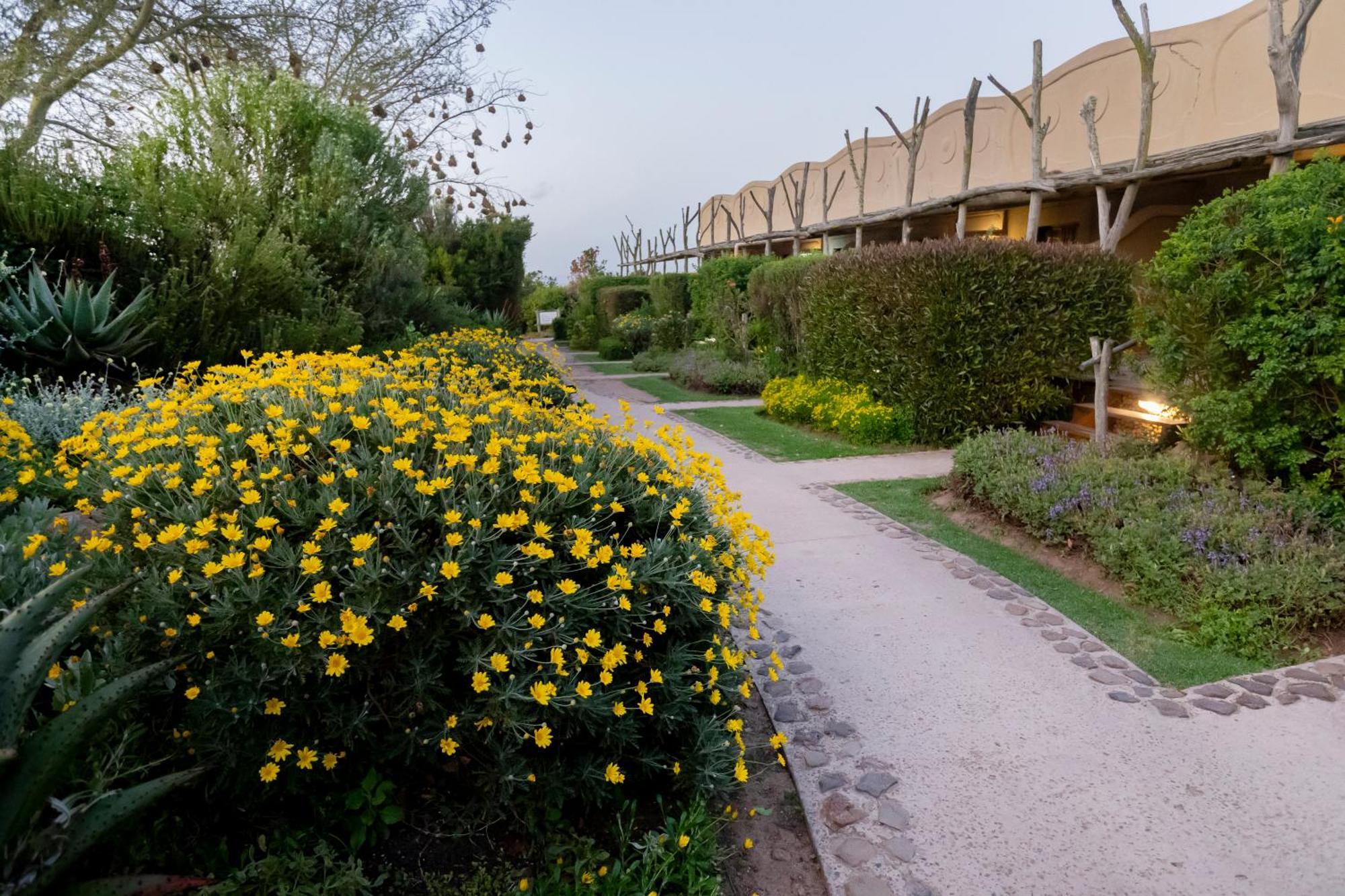 Garden Route Game Lodge Albertinia Exteriör bild