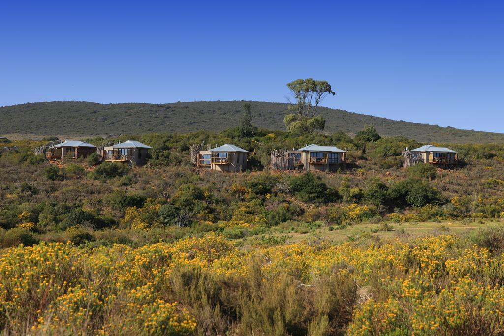 Garden Route Game Lodge Albertinia Exteriör bild