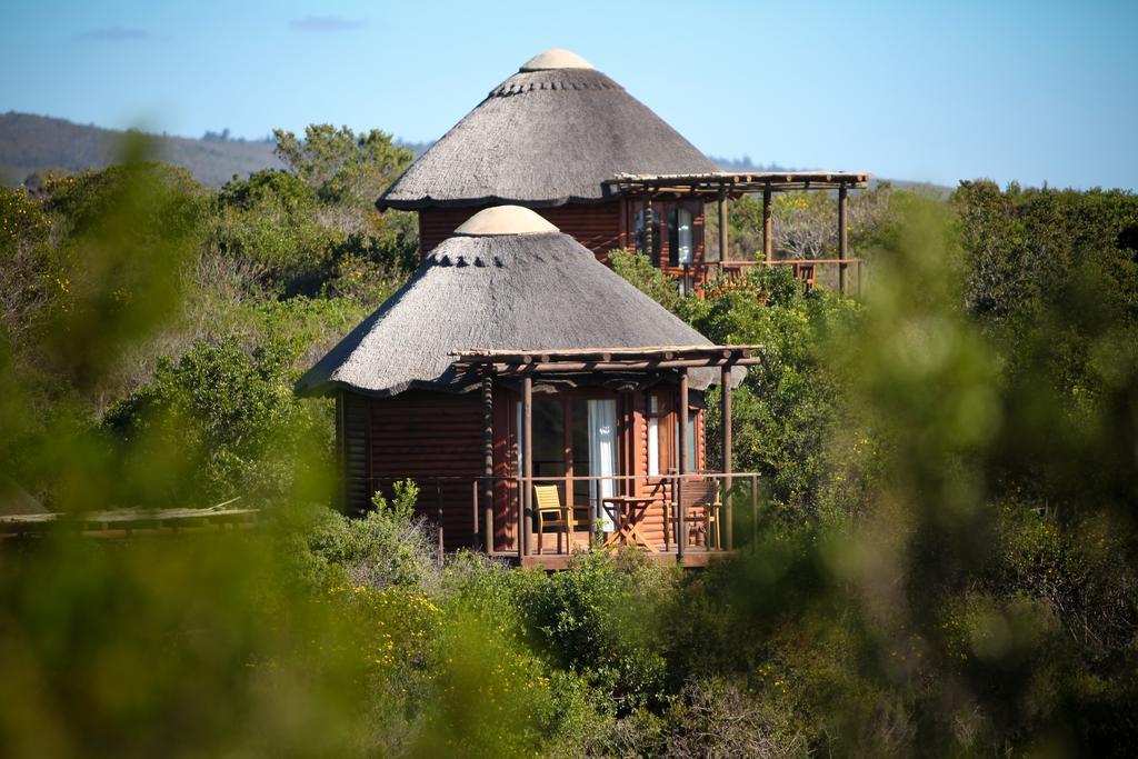 Garden Route Game Lodge Albertinia Exteriör bild