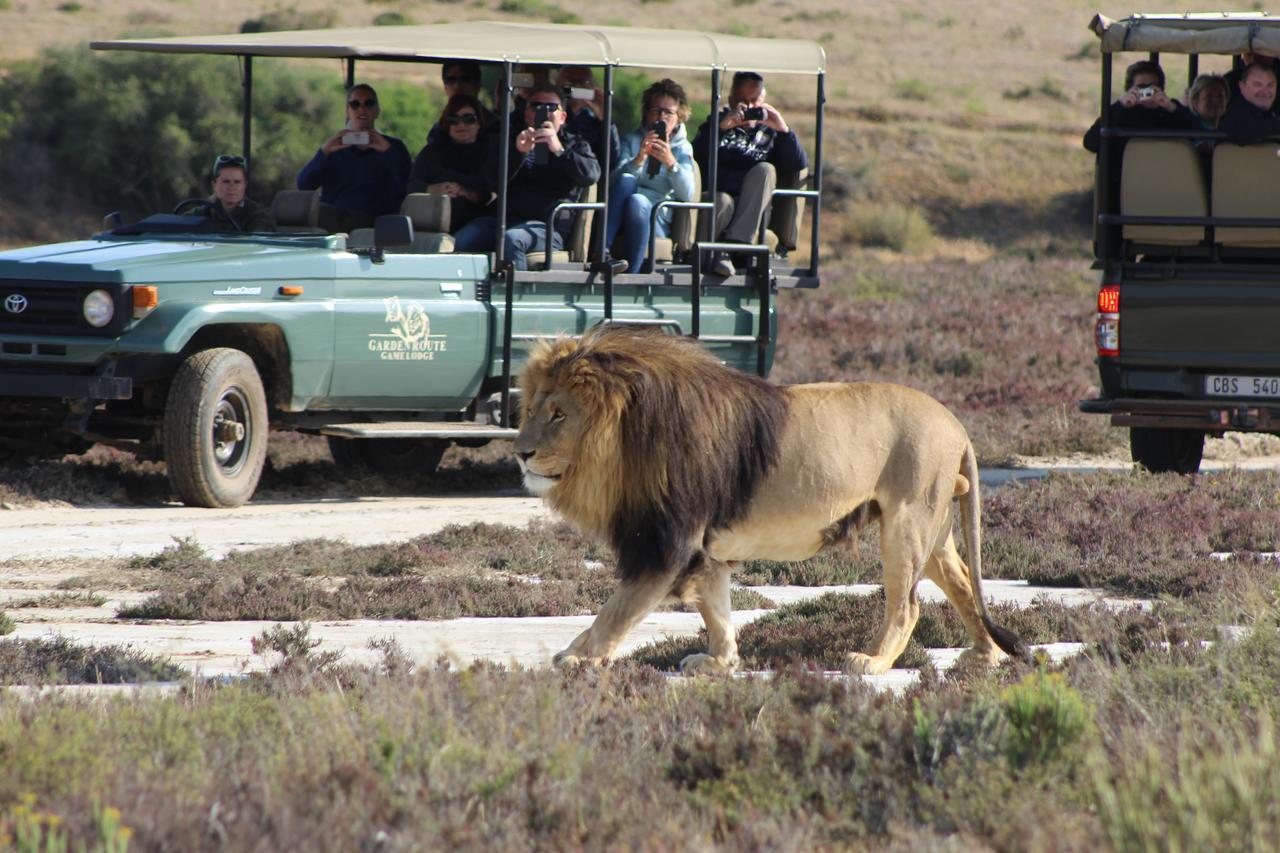 Garden Route Game Lodge Albertinia Exteriör bild